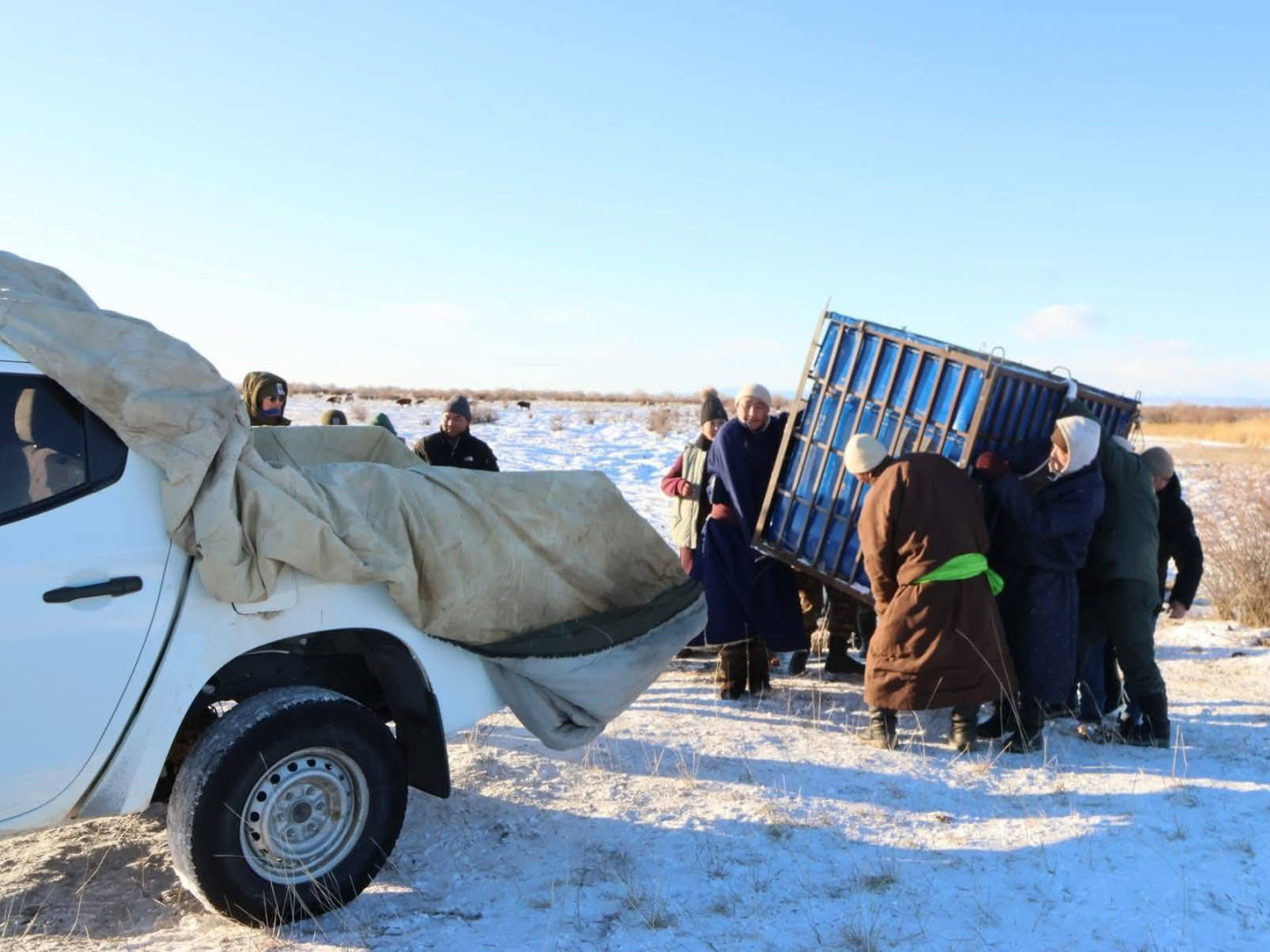 Уулнаас бууж ирсэн баавгайг унтуулж, Хан хэнтийн тусгай хамгаалалттай газарт шилжүүлэхээр болжээ