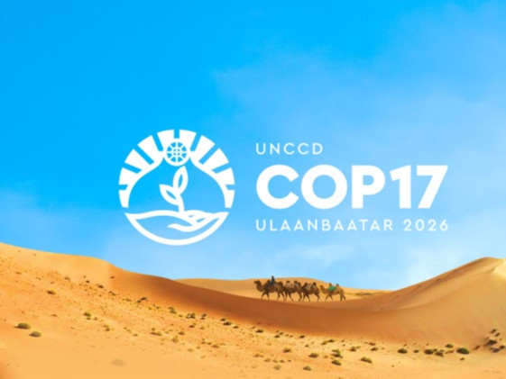 СОР17 Цөлжилттэй тэмцэх тухай НҮБ-ын Конвенцын Талуудын 17 дугаар бага хурал Монгол Улсад анх удаа зохион байгуулагдах гэж байна.