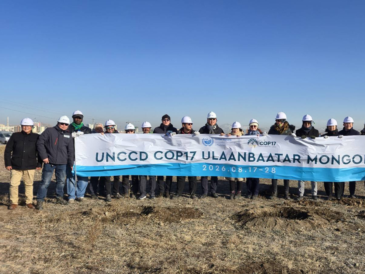 НҮБ-ын төлөөлөгчид мод тарилаа