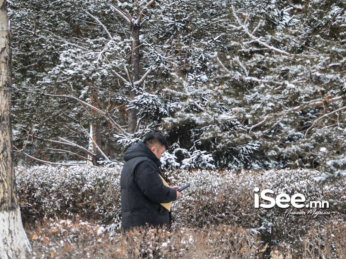 Улаанбаатарт орж буй цас өнөөдөр 23:00 цаг хүртэл үргэлжлэн орно