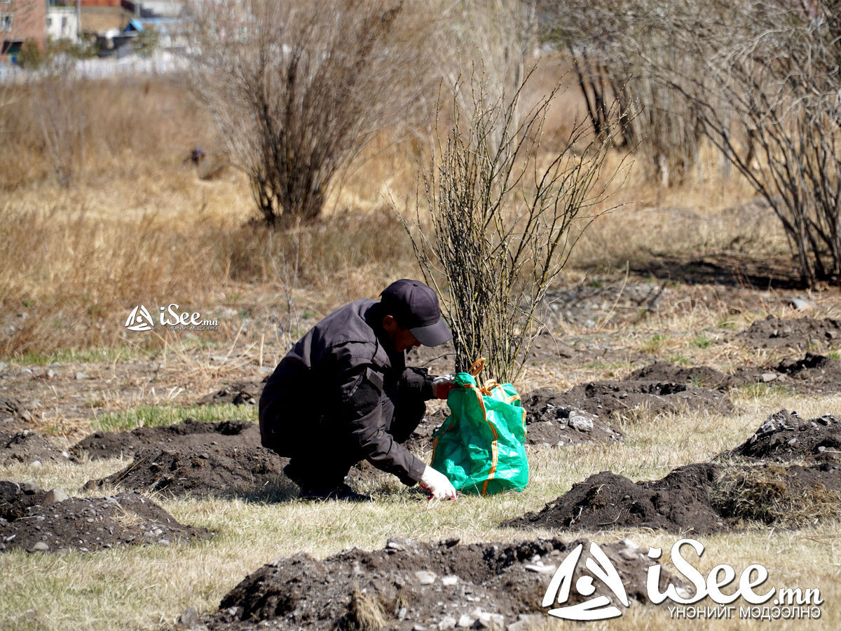 Мод, модон материалын тээвэрлэлт, гарал үүслийн мэдээллийг цахимаар олгож эхэлжээ