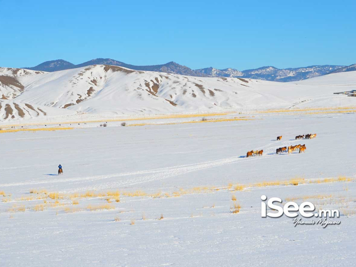 Ирэх долоо хоногт ихэнх нутгаар хүйтэрнэ