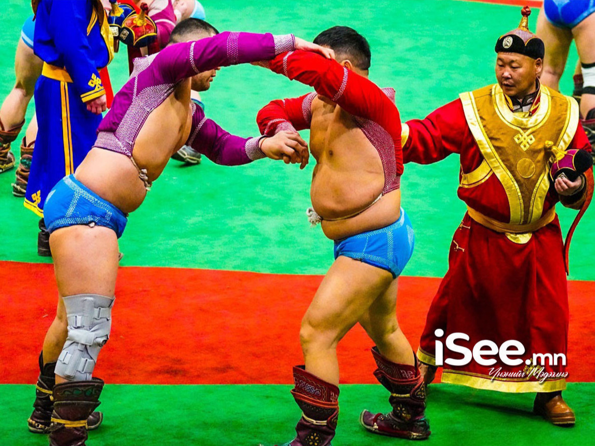 Тавын даваанд улсын цолтой 12, аймгийн цолтой дөрвөн бөх үлдлээ