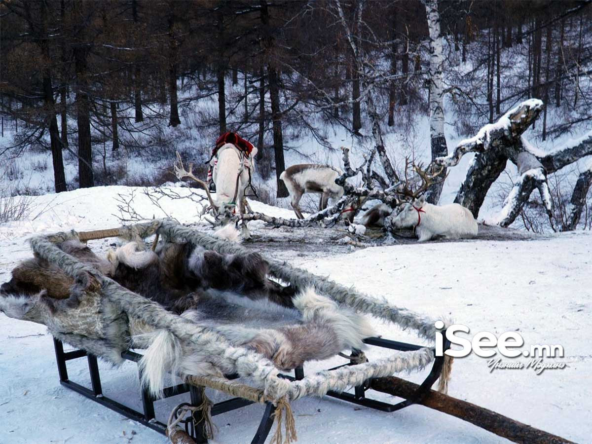 "Хөх сувд-2026" мөсний баярыг ирэх сарын эхээр зохион байгуулна 