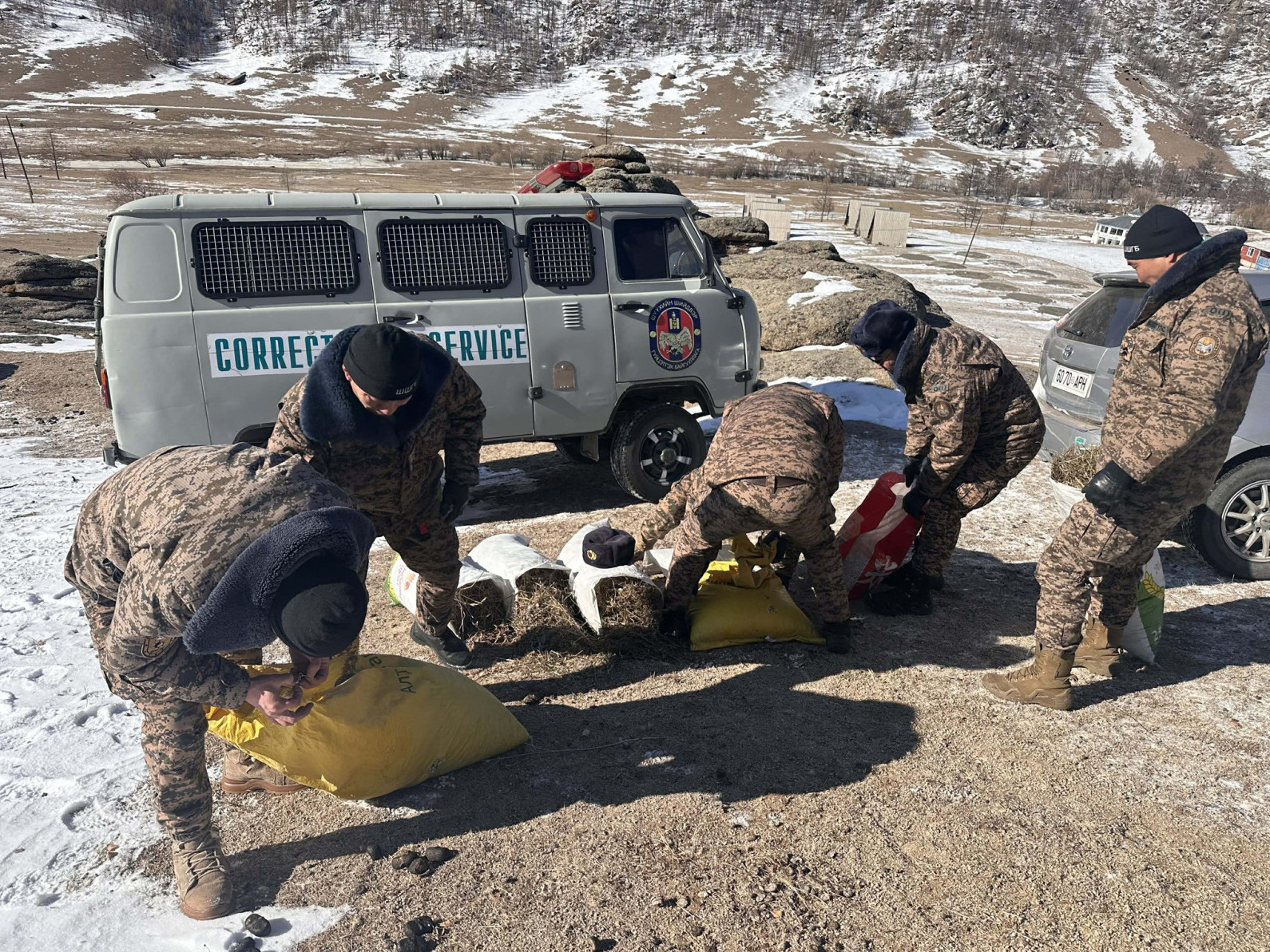 ФОТО: Дархан цаазат Булган ууланд нутагшиж байгаа янгируудад өвс тавьж өгчээ