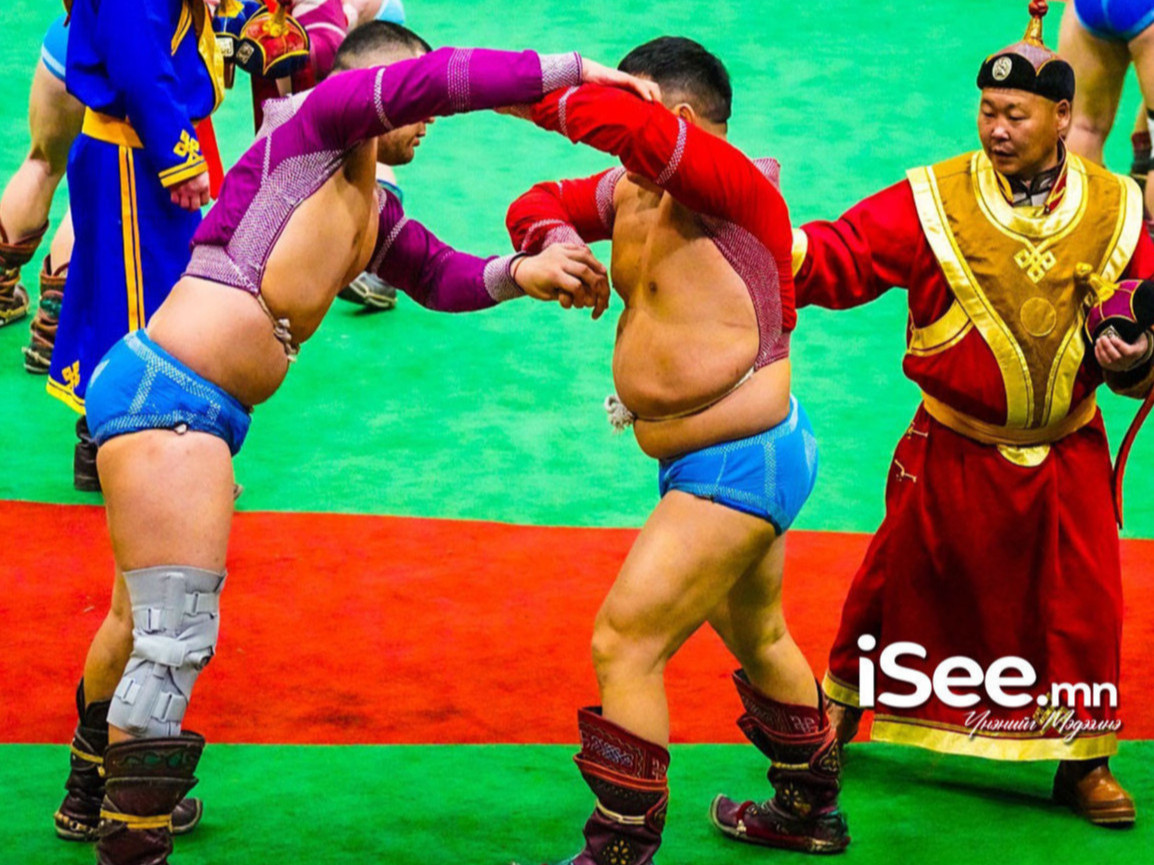 Бөхчүүд цолны эрэмбээр ном хандивлаж, захын сургуулиудын номын санг тохижуулна