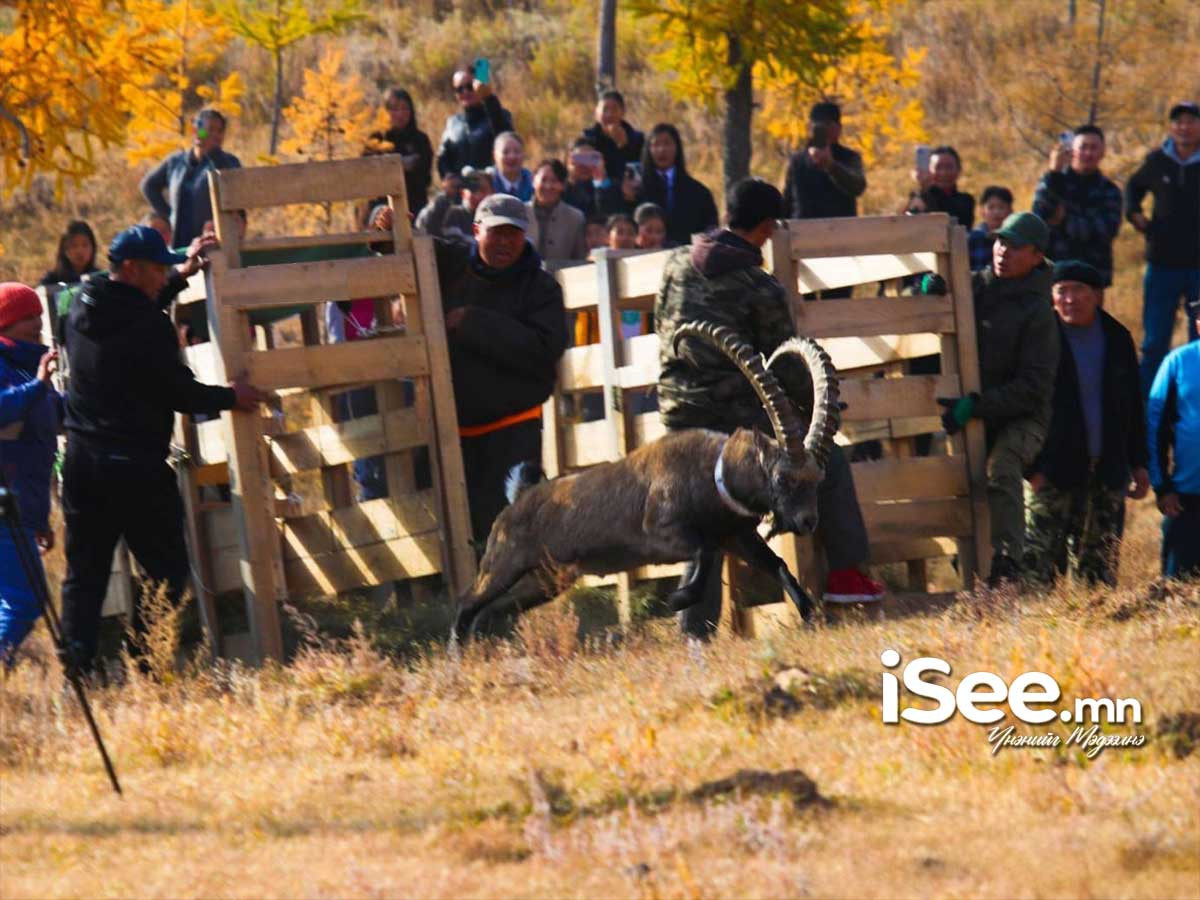 "Янгир" төсөл энэ жилээс Төрийн тахилгат Суварга хайрхан ууланд хэрэгжинэ 
