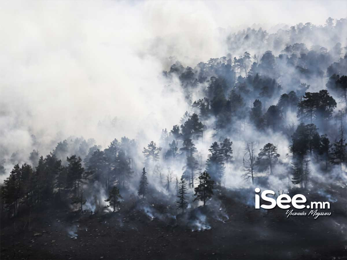 Архангай аймагт гарсан ойн түймрийг унтраахаар алба хаагчид ажиллаж байна