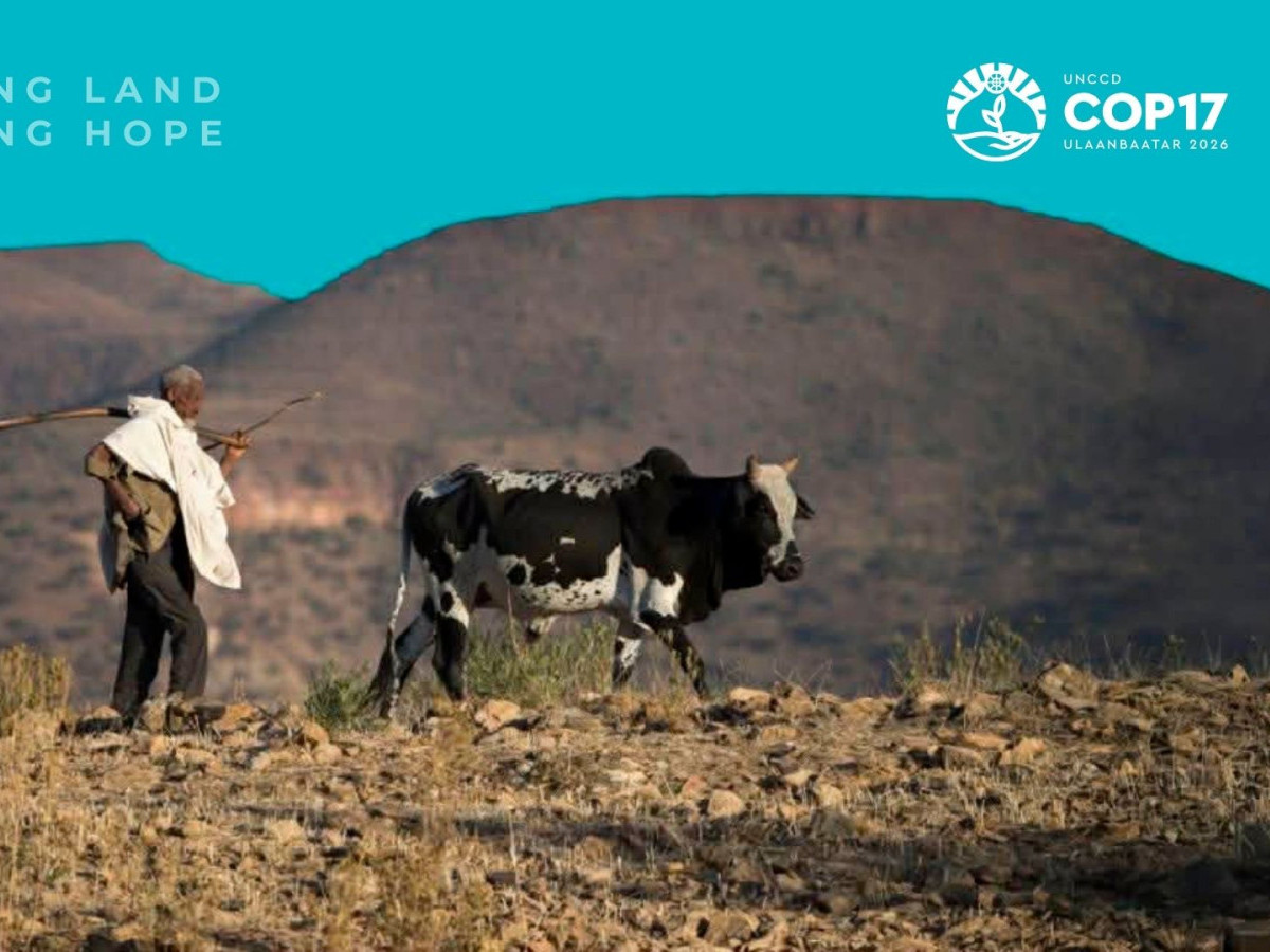 Тэсвэрлэх чадвар, тэнцвэрт байдал, хөгжил цэцэглэлтийн хөшүүрэг – Эрүүл газартай байхын төлөө Нэгдсэн Үндэсний Байгууллага чуулна