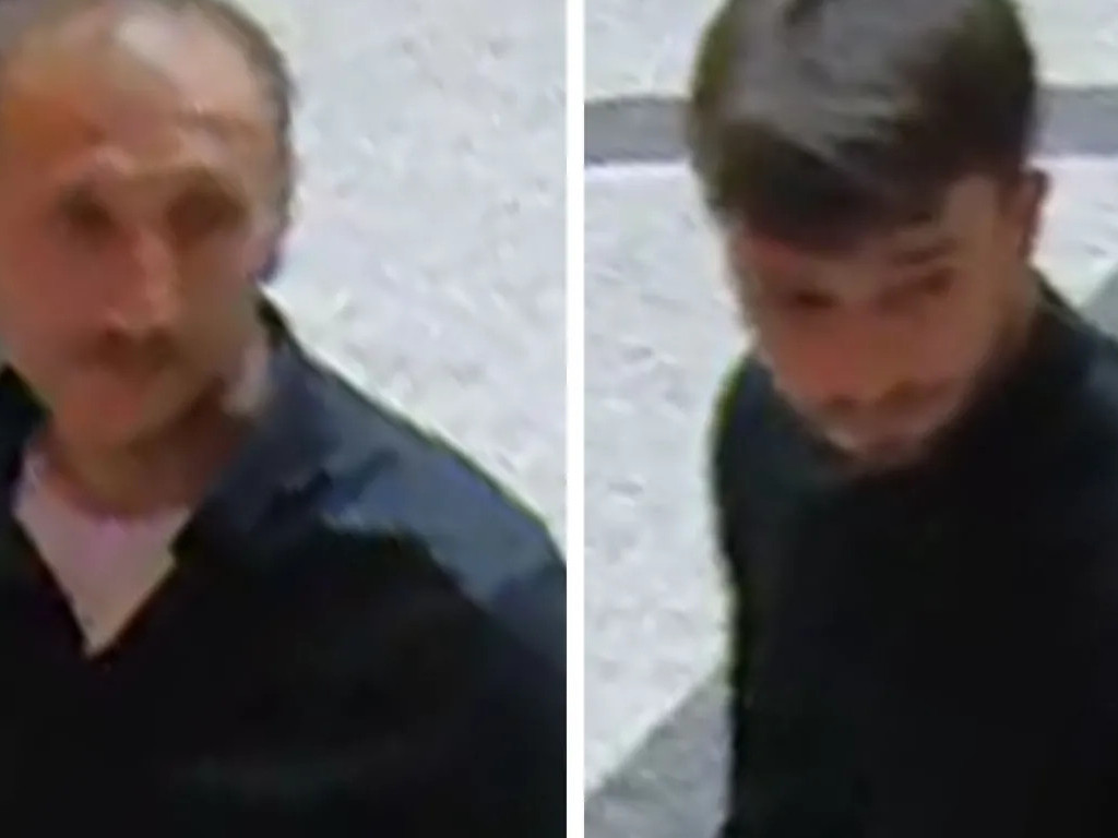 Венийн музейгээс дөрвөн сая ам.долларын үнэтэй, 600 алмаазан шигтгээтэй зүүлт хулгайлжээ